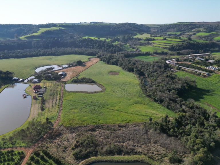 SÍTIO DE 30.000 M² EM CONSTANTINA-RS