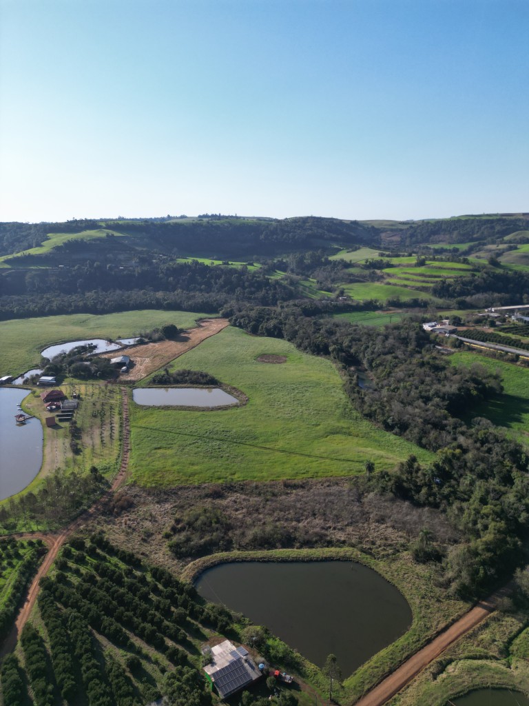 SÍTIO DE 30.000 M² EM CONSTANTINA-RS