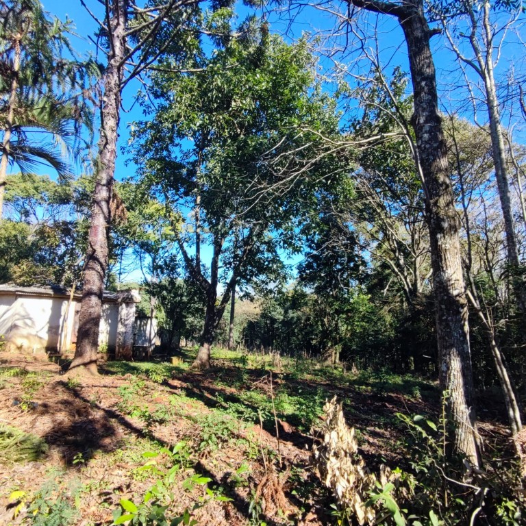 CHÁCARA URBANA DE 12.500 M² EM CONSTANTINA-RS