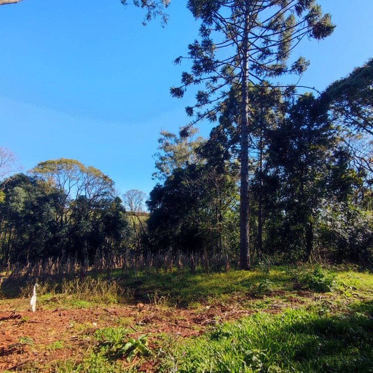CHÁCARA URBANA EM CONSTANTINA-RS