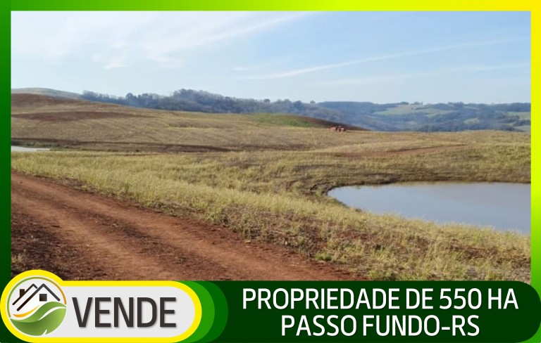 PROPRIEDADE DE 550 HA NO RS