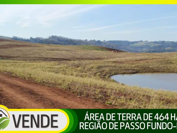 ÁREA DE TERRA DE 464 HA NA REGIÃO DE PASSO FUNDO-RS