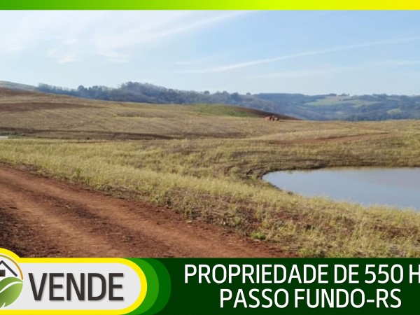 PROPRIEDADE DE 550 HA NO RS