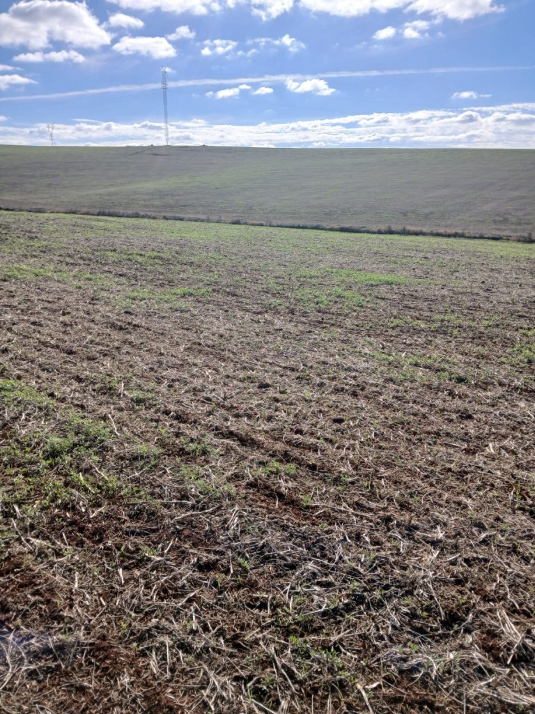 PROPRIEDADE DE 550 HA NO RS