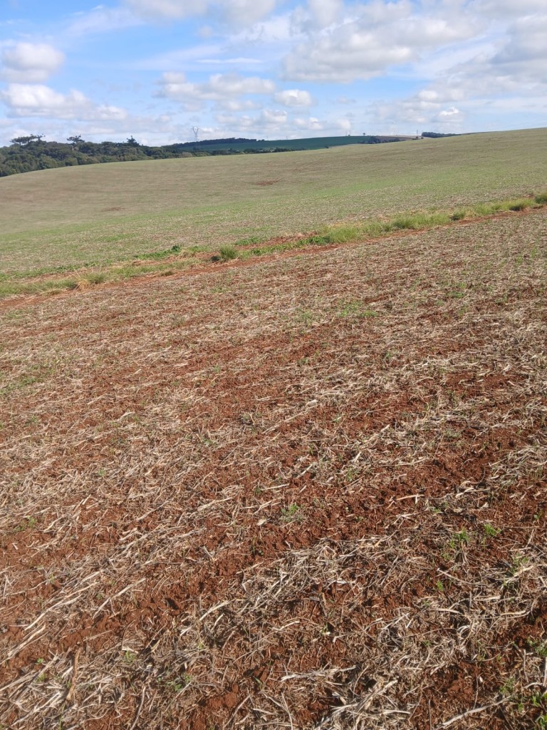 PROPRIEDADE DE 550 HA NO RS