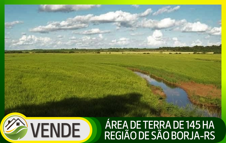 ÁREA DE TERRA DE 145 HA NA REGIÃO DE SÃO BORJA-RS
