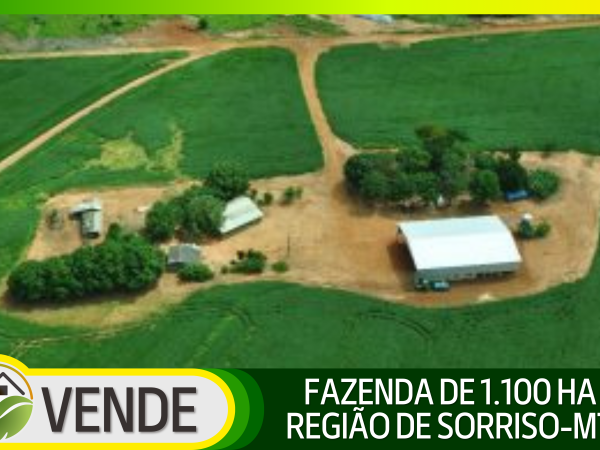FAZENDA DE 1.100 HA NA REGIÃO DE SORRISO-MT