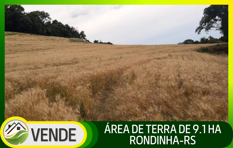 ÁREA DE TERRA DE 9.1 HA EM RONDINHA-RS