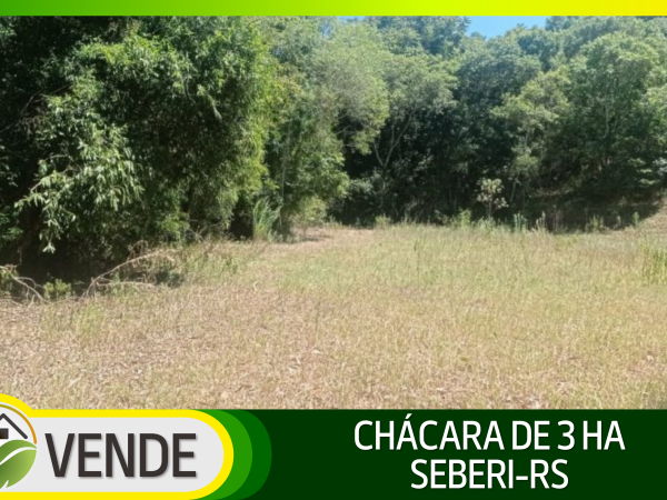 CHÁCARA DE 3 HA NA REGIÃO DE SEBERI-RS