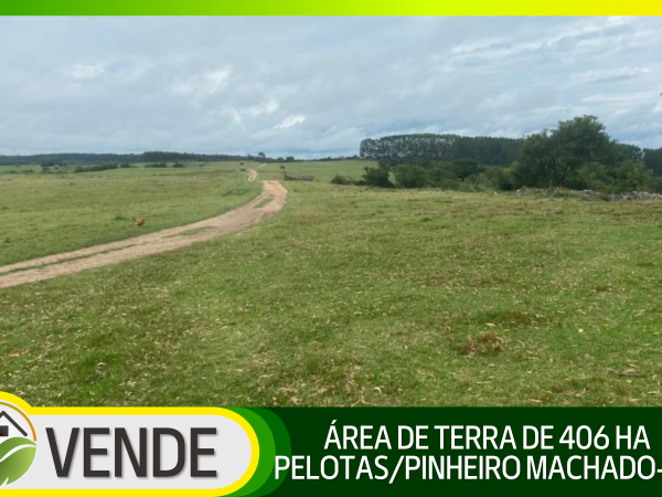 ÁREA DE TERRA DE 406 HA NA REGIÃO DE PELOTAS/PINHEIRO MACHADO-RS