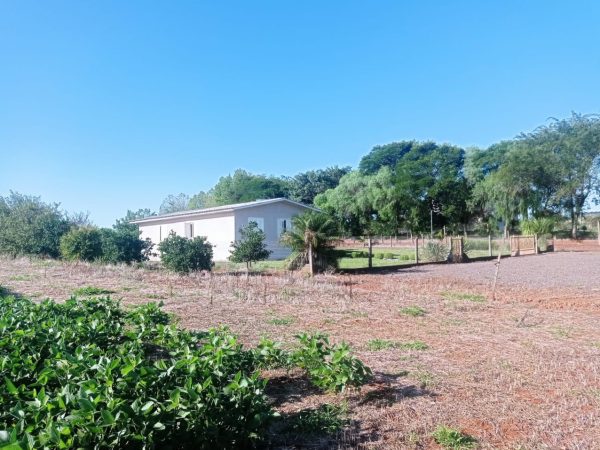 Chácara de 5.000 m² na região de Vista Alegre/Palmitinho