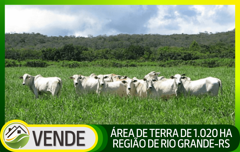 ÁREA DE TERRA DE 1.020 HA NA REGIÃO DE RIO GRANDE-RS