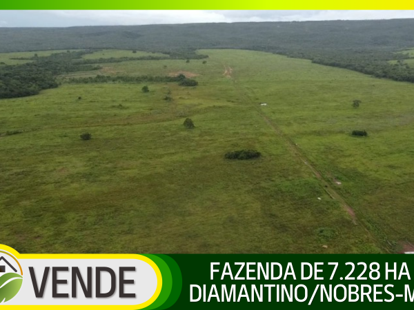 FAZENDA DE 7.228 HA NA REGIÃO DE DIAMANTINO/NOBRES-MT