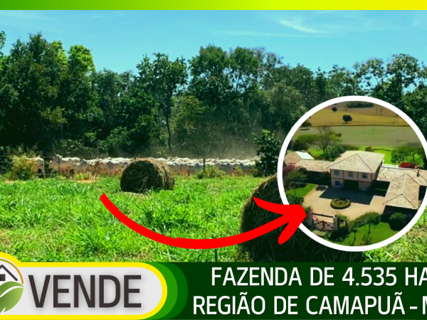 FAZENDA DE 4.535 HA NA REGIÃO DE CAMAPUÃ-MS
