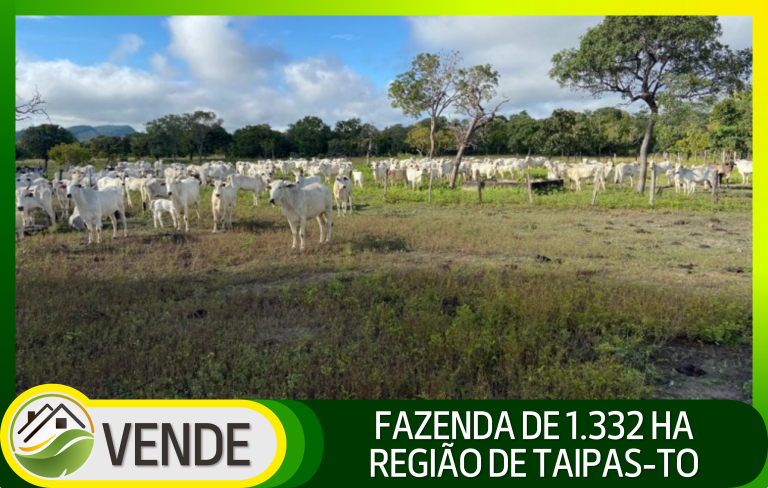 FAZENDA DE 1.332 HA NA REGIÃO DE TAIPAS-TO