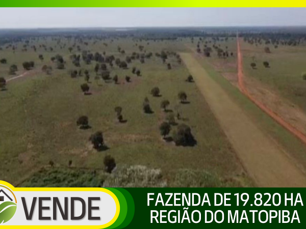 FAZENDA PORTEIRA FECHADA DE 19.820 HA NA REGIÃO DO MATOPIBA