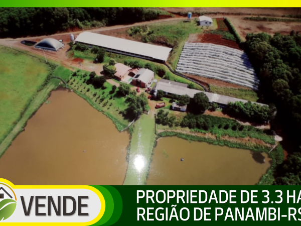 PROPRIEDADE COMPLETA DE 3.3 HA NA REGIÃO DE PANAMBI-RS