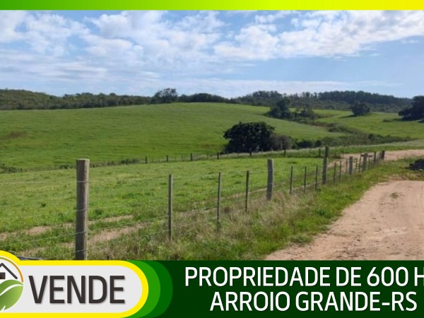PROPRIEDADE PORTEIRA FECHADA DE 600 HA