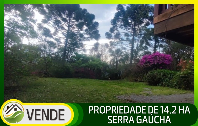 PROPRIEDADE DE 14.2 HA NA SERRA GAÚCHA