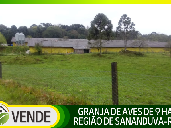 GRANJA DE AVES DE 9 HA NA REGIÃO DE SANANDUVA-RS