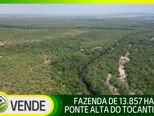 FAZENDA DE 13.857 HA NO TOCANTINS