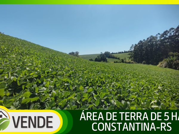 ÁREA DE TERRA DE 5 HA EM CONSTANTINA-RS