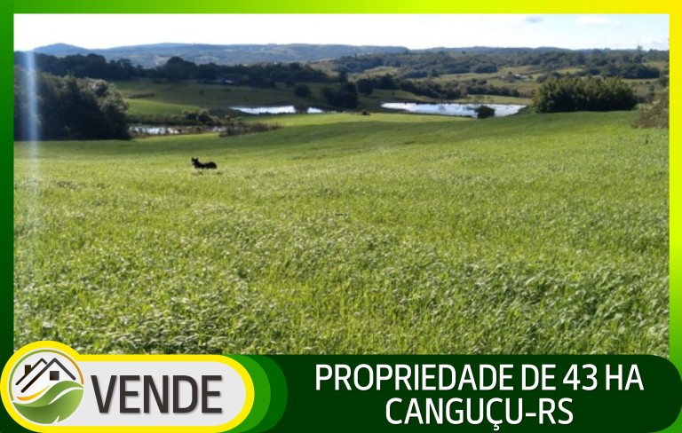 PROPRIEDADE DE 43 HA NO RS