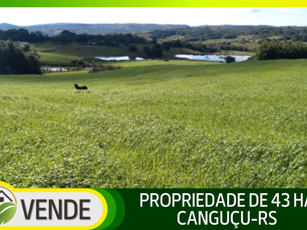 PROPRIEDADE DE 43 HA NO RS