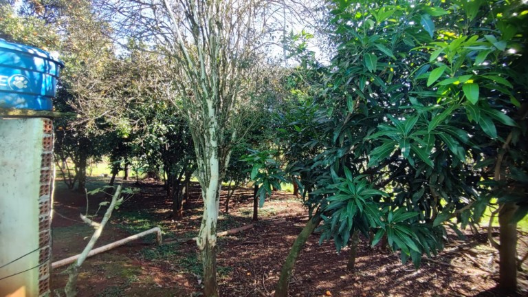 SÍTIO DE 4.2 HA EM TRÊS PALMEIRAS-RS