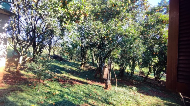 SÍTIO DE 4.2 HA EM TRÊS PALMEIRAS-RS