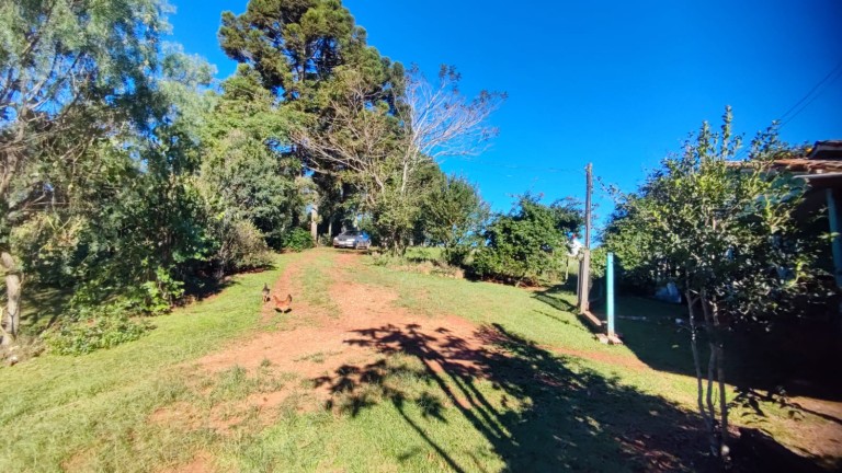 SÍTIO DE 4.2 HA EM TRÊS PALMEIRAS-RS