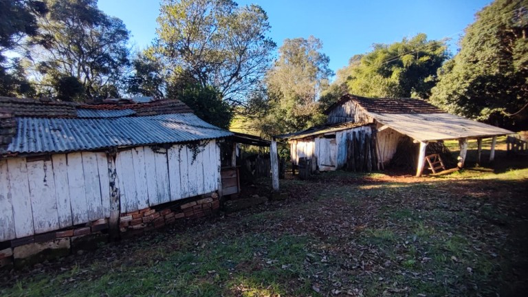SÍTIO DE 4.2 HA EM TRÊS PALMEIRAS-RS