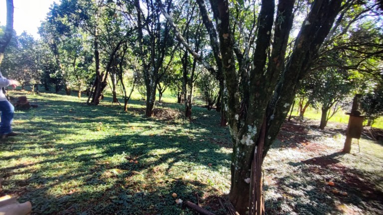 SÍTIO DE 4.2 HA EM TRÊS PALMEIRAS-RS