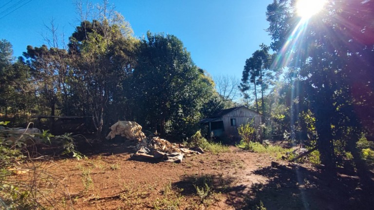 SÍTIO DE 4.2 HA EM TRÊS PALMEIRAS-RS