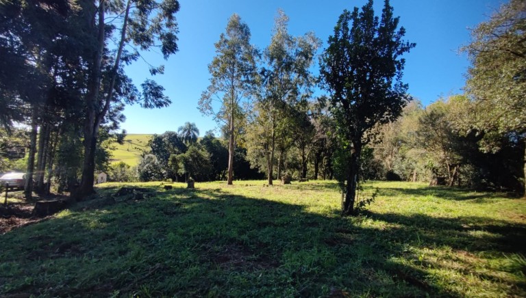 SÍTIO DE 4.2 HA EM TRÊS PALMEIRAS-RS