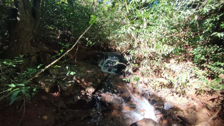 SÍTIO DE 4.2 HA EM TRÊS PALMEIRAS-RS