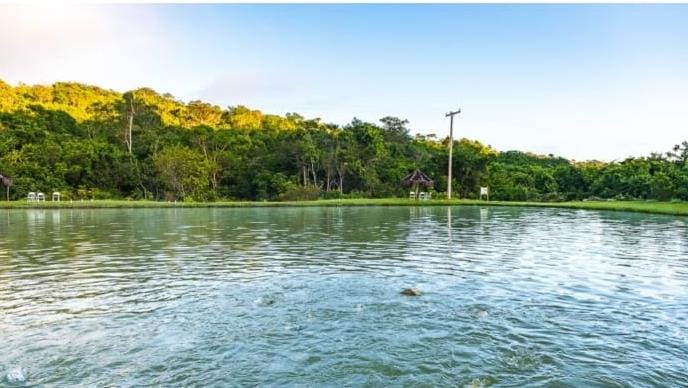 HOTEL FAZENDA EM BRASÍLIA-DF