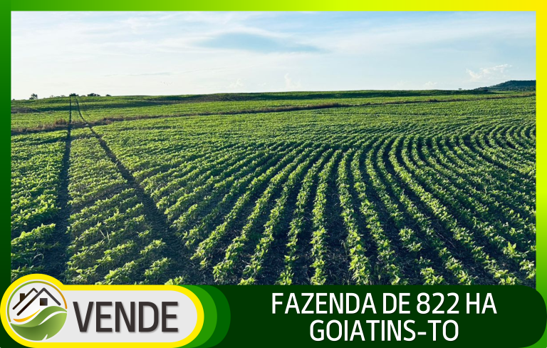 FAZENDA DE 822 HA NO TOCANTINS