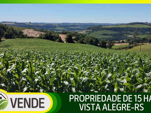 PROPRIEDADE DE 15 HA NO RS