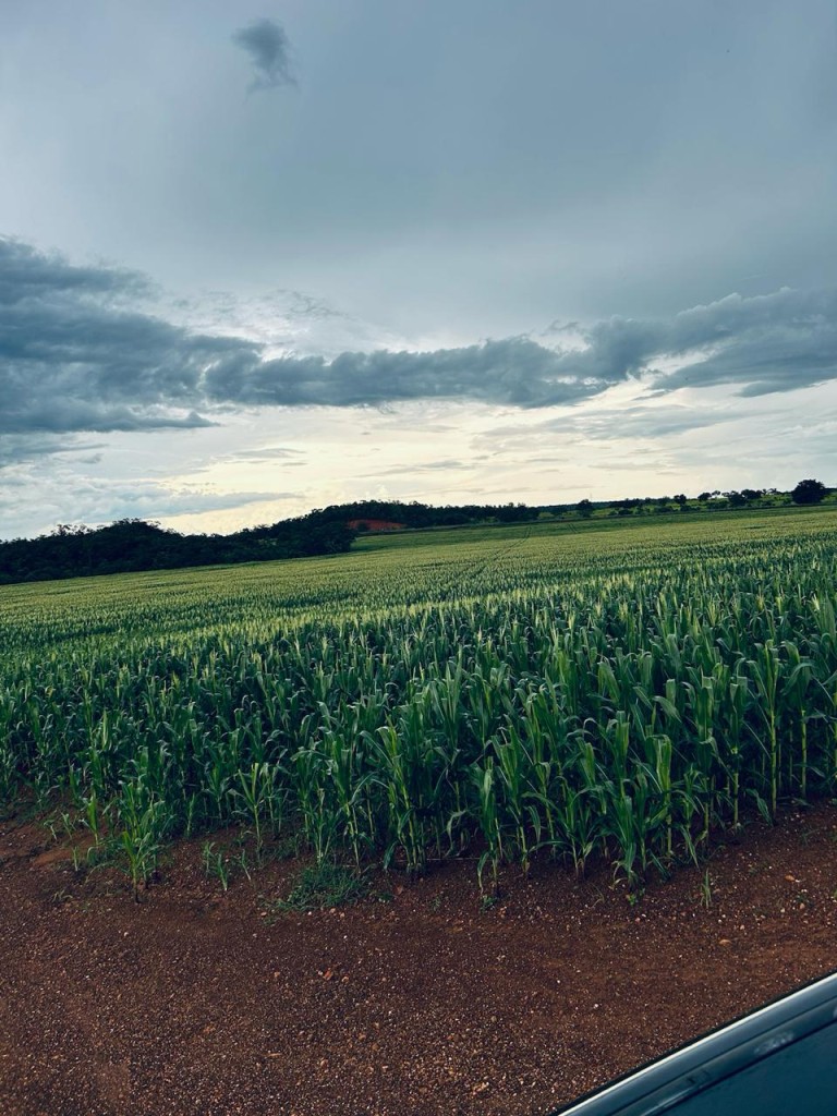 FAZENDA DE 822 HA NO TOCANTINS