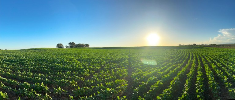 FAZENDA DE 822 HA NO TOCANTINS