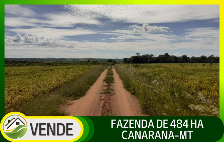 FAZENDA DE 484 HA NO MATO GROSSO