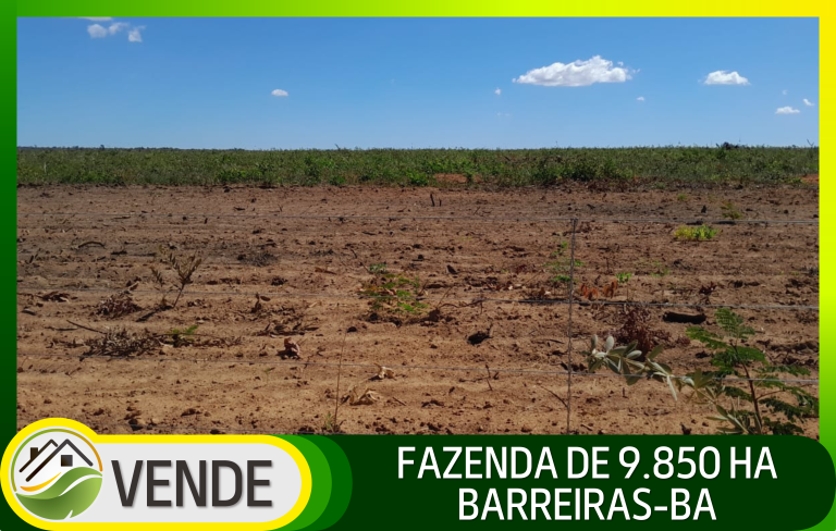 FAZENDA DE 9.850 HA NA BAHIA