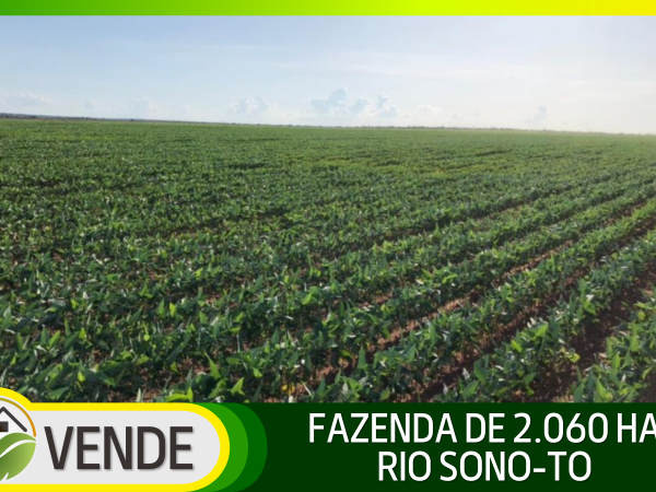FAZENDA DE 2.060 HA NO TOCANTINS