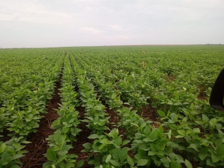 FAZENDA DE 2.153 HA NO TOCANTINS