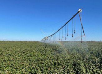 FAZENDA DE 4.926 HA COM ATÉ 10 ANOS PARA PAGAR