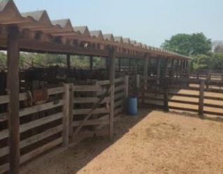 FAZENDA DE 4.926 HA COM ATÉ 10 ANOS PARA PAGAR