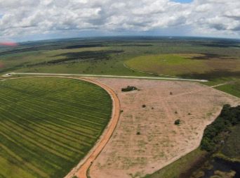 FAZENDA DE 4.926 HA COM ATÉ 10 ANOS PARA PAGAR