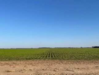 FAZENDA DE 4.926 HA COM ATÉ 10 ANOS PARA PAGAR
