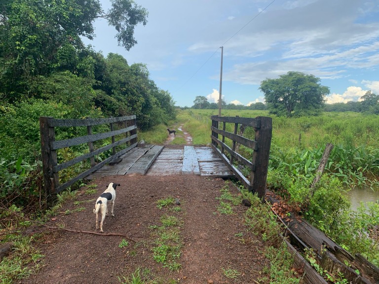 FAZENDA DE 484 HA NO MATO GROSSO